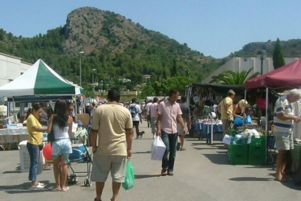 market in pedreguer